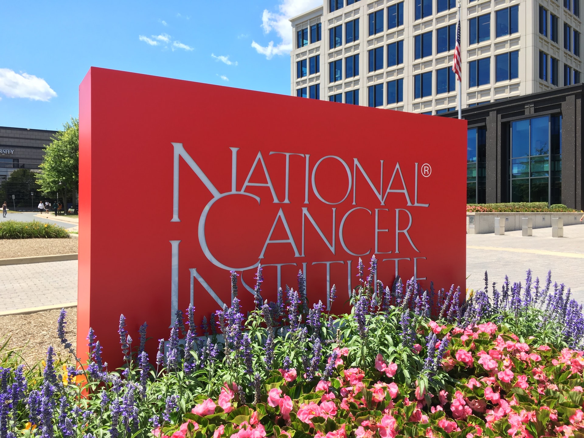 Colonoscopies Cut Colon Cancer Deaths